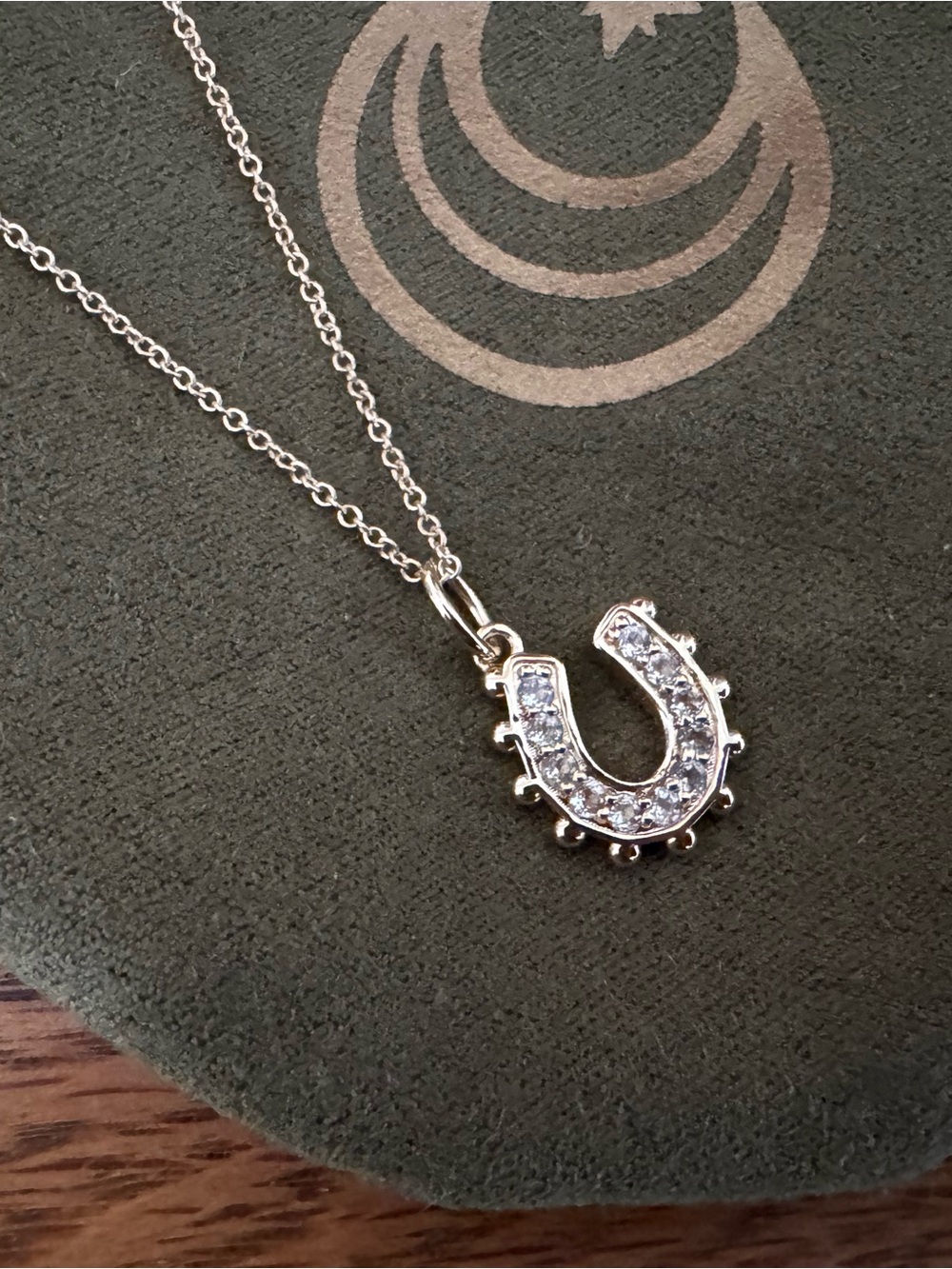 Jane Win 2025 advent calendar horseshoe charm and 18-20 inch necklace